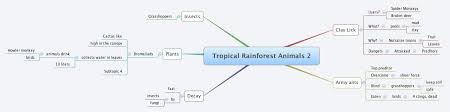 Interesting tropical rainforest biome facts: Tropical Rainforest Animals 2 Xmind Mind Mapping Software