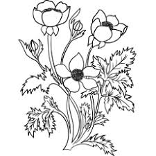 Plants and flowers lesson plans themes printouts and crafts. Top 47 Free Printable Flowers Coloring Pages Online