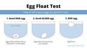 Although properly stored eggs have a decent shelf life, they can eventually spoil. Should You Wash Your Eggs Tyrant Farms