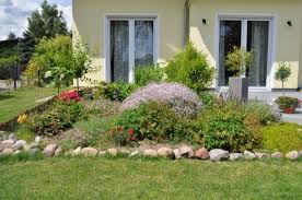 Wenig verwunderlich, denn es gelingt trifolium repens und trifolium pratense innerhalb kurzer zeit doch nicht in jedem garten sind die bienenweidenpflanzen willkommen. Entdeckung Bei Der Gartenarbeit Langste Klee Pflanze Der Welt Hausbau Blog