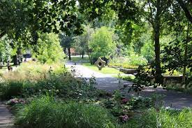 Garden in frankfurt am main, hessen Botanischer Garten Frankfurt Oder Seenland Oder Spree