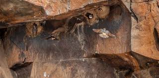 A n n u a l R e p o r t