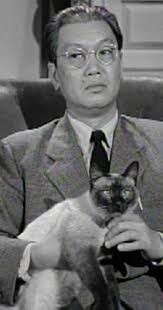 Perry Mason" The Case of the Caretaker's Cat (TV Episode 1959)