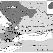 Pdf Range Expansion And Migration Of Trumpeter Swans Cygnus Buccinator Re Introduced In Southwest And Central Ontario