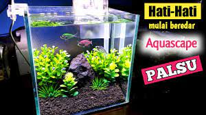 Untuk cara caranya dan ukuran aquarium sudah ada divideo ini. Cara Menghias Aquarium Ikan Hias Aquarium Ikan Cupang Paling Mudah Dan Simple Youtube