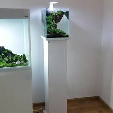 Which Your Favorit Tank Video Aquarium Architecture Aquarium Landscape Fish Tank Decorations