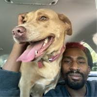 200+ "Dyron" profiles