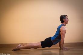 Yoga For Healthy Aging Featured Pose Upward Facing Dog Pose Urdva Mukha Svanasana