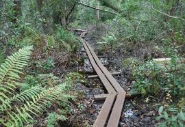 Maybe you would like to learn more about one of these? 10 Florida State Parks To Visit In An Rv Lazydays Rv