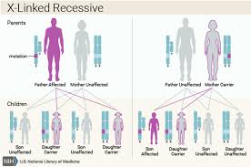 Apart from some foods, infections from e. G6pd Deficiency Causes Symptoms Drugs To Avoid G6pd Deficiency Treatment
