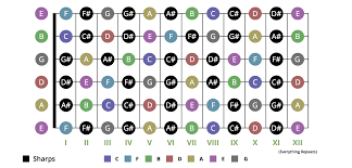 Easiest Guide To Learning The Notes On Your Guitar Fretboard