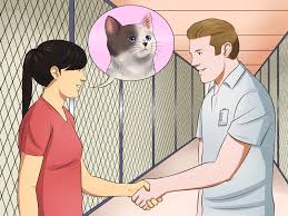 We did not find results for: How To Give Newborn Kittens Away 11 Steps With Pictures