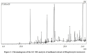 Image result for Rhaphiostylis