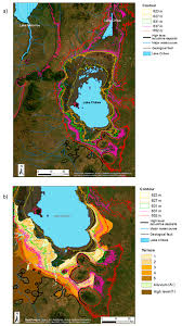 Image result for Tragia grandistipularis