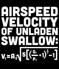 Airspeed Velocity Of An Unladen Swallow With An Equation In White Ink On A Black 100 Cotton T Shirt Descripti Monty Python Python Monty Python Flying Circus
