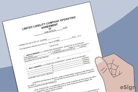 The llc operating agreement may create several series llcâ€™s for a variety of business objectives. Free Llc Operating Agreement Template Pdf Word