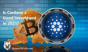 All cryptocurrencies are highly volatile and speculative investments. 1gy6s1qfox0wtm