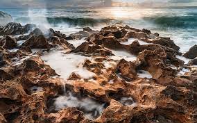 Maybe you would like to learn more about one of these? Rare Rocks Inside Jupiter Island S One Of A Kind Blowing Rocks Preserve Opal Unpacked