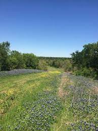 Shop our wide selection to help make that special someone's day. Best Wild Flowers Trails In Cedar Hill Texas Alltrails