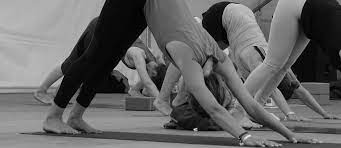 All classes will be held in main shrine room of the boulder shambhala center. Online Yoga Workshop Vinyasa Fur Anfanger Yoga Mit Mel