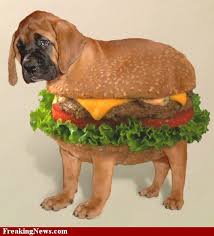 The people behind these photoshop fails, however, are neither skillful nor nefarious. Art Sci 10 Funny Photoshop Dogs