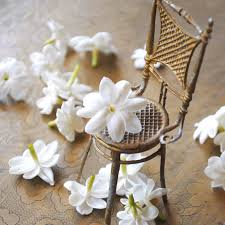 Resultado de imagen de jazmines