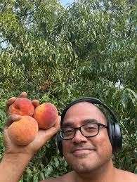 What peach tree variety and nursery to choose?