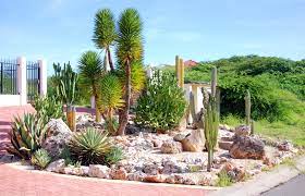 See 51 traveler reviews, 36 candid photos, and great deals for quicksand and cactus bed & breakfast, ranked #2 of 10 b&bs / inns in st. Caring For Your Joshua Tree Stone Tree Landscaping St George Utah