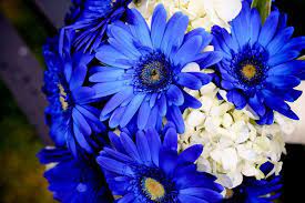 Pin By Carrie Gyselinck On Wedding Blue Wedding Bouquet Sunflower Wedding Bouquet Flower Bouquet Wedding