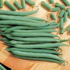 Many people agree that the taste of a fall crop of green beans far surpasses that of spring planted beans. Topcrop Bush Beans Jung Seed Company