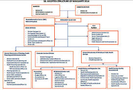 Moh Organizational Structure