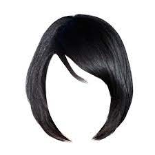 Hairstyle711 Png 500 634 Liked On Polyvore Featuring Hair Wigs Dolls Doll Hair And Doll Parts Doll Hair Polyvore Wigs