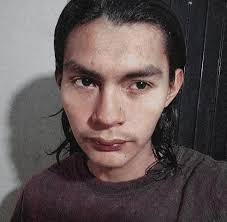 Iconic video game revival! Block City Wars is the greatest open-world  adventure in mobile gaming that will blow your mind! Tick 'em off