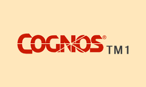 cognos tm1 training in chennai cognos