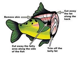 Follow these recommendations for how often you can eat fish: Questions Answers From The Fda Epa Advice About Eating Fish For Women Who Are Or Might Become Pregnant Breastfeeding Mothers And Young Children Fda