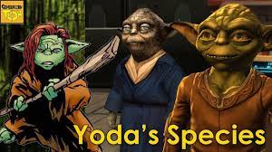 What Do We Know About Yoda S Species Yoda Species What Species Is Yoda Yoda