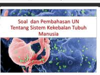 We did not find results for: Soal Sistem Imunitas Other Quizizz