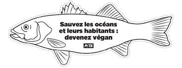 Car oui, le poisson d'avril est farceur ! Ampv1zaowndowm