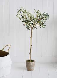 The olive tree (olea europaea) is one of the oldest cultivated trees in history. Artificial Realistic Olive Tree From The White Lighthouse Home Furniture And Interiors