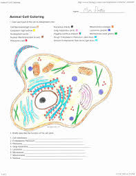 One of the legendary skins. Cell Membrane Plant Cell Colour Wallpaper Site