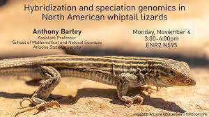 Image result for Vepris allenii