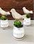Mason Jar Centerpieces With Flowers