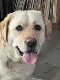 I am happy and grateful for Aunts