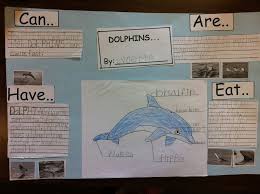 Marine Biology Science Fair Projects Kindergarten Research Project On Dolphins Project Based Learning Kindergarten Kindergarten Projects Kindergarten Science