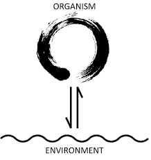 Autopoiesis is a theory of social systems which is based on biological theories of the cell: A Study Of Organizational Closure And Autopoiesis Harish S Notebook My Notes Lean Cybernetics Quality Data Science