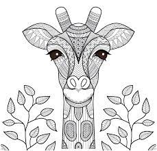 Use a ruler to measure your rectangles and to help draw them straight. 49 Zentangle Animals The Easiest Templates To Start In 2021 Craftwhack
