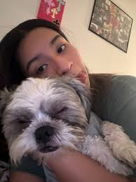 REWARD OFFERED FOR HIS SAFE RETURN