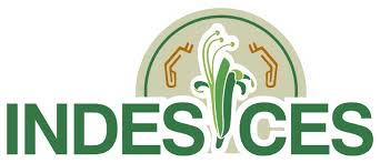 Logo INDES-CES