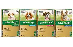 Advantage For Dogs Puppies Simple Effective Flea Treatment Prevention