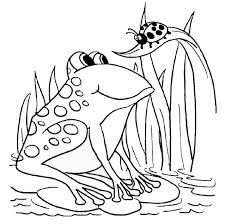 Cute printable cute frog coloring pages. Cute Frog Coloring Sheets 101 Activity Frog Coloring Pages Frog Coloring Animal Coloring Pages